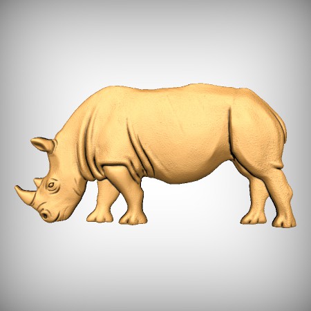 Rhino CNC Model