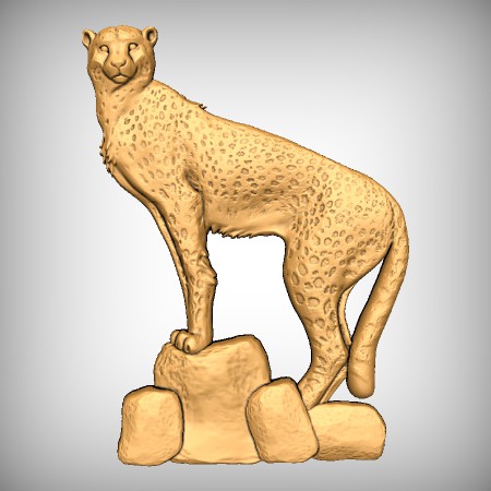 Cheetah CNC Model