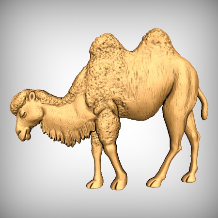 Camel CNC Model