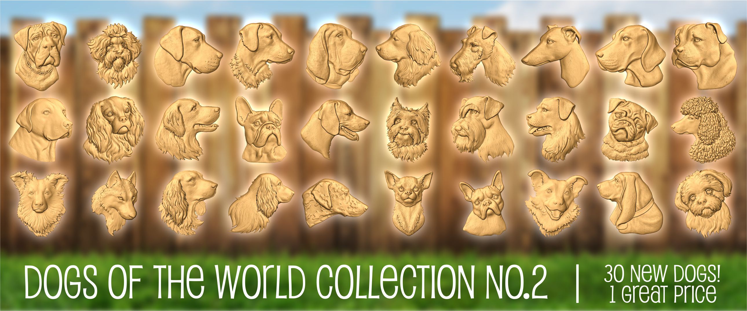Dogs of the World Collection No.2